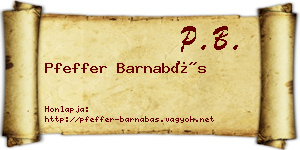 Pfeffer Barnabás névjegykártya