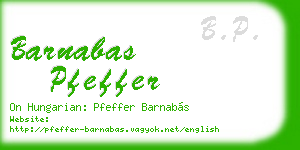 barnabas pfeffer business card